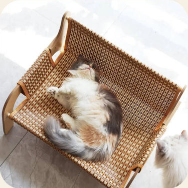 A fluffy cat lounges on the KittyNook Cat Co. Cat Summer Sofa Bed as another cat watches from the corner.